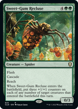 Picture of Sweet-Gum Recluse                